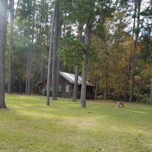 Meet your Posher, Janet